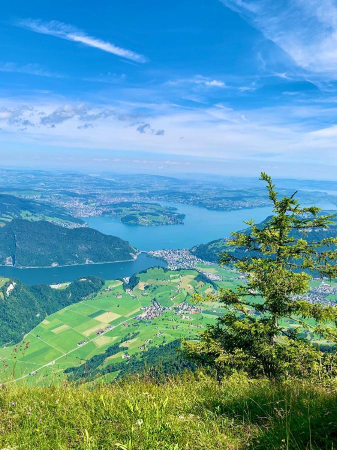 The Swiss Paradise 2 Apartment With Garden, Whirlpool, And Mountain Panorama Wirzweli المظهر الخارجي الصورة