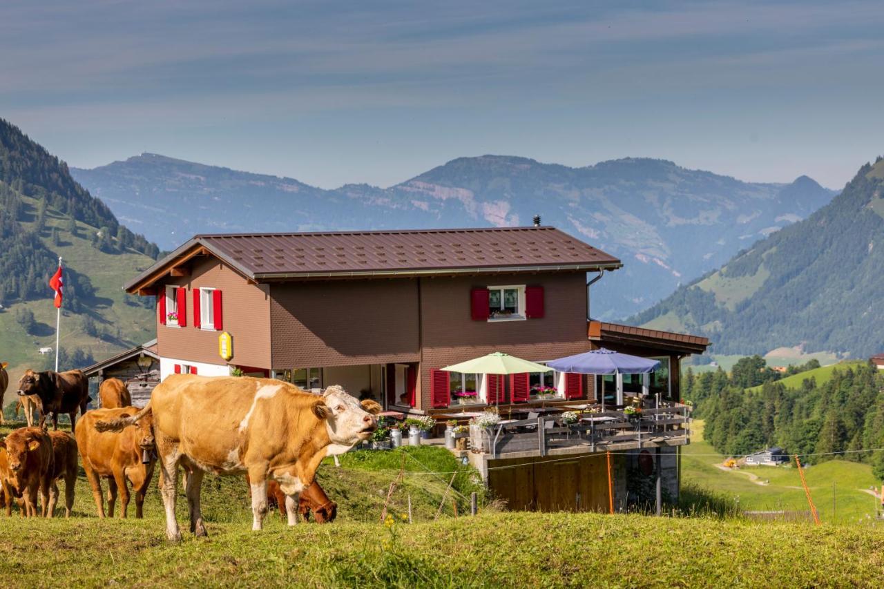 The Swiss Paradise 2 Apartment With Garden, Whirlpool, And Mountain Panorama Wirzweli المظهر الخارجي الصورة